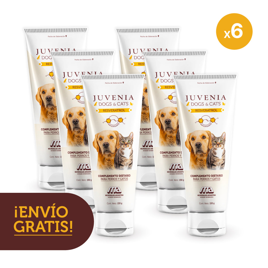 6x JUVENIA DOGS&CATS POMO DE 150GR
